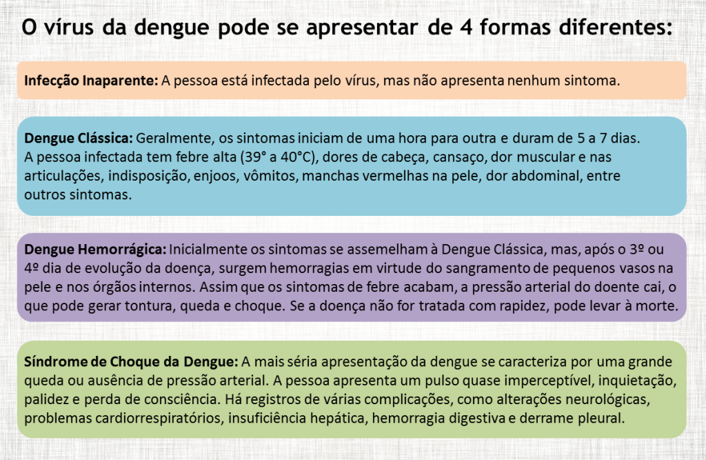 Dengue_quadro