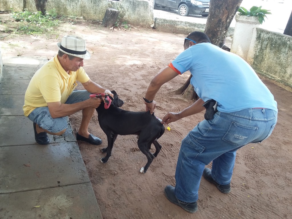 Natal inicia Campanha de Vacinação contra raiva em cães e gatos (2)