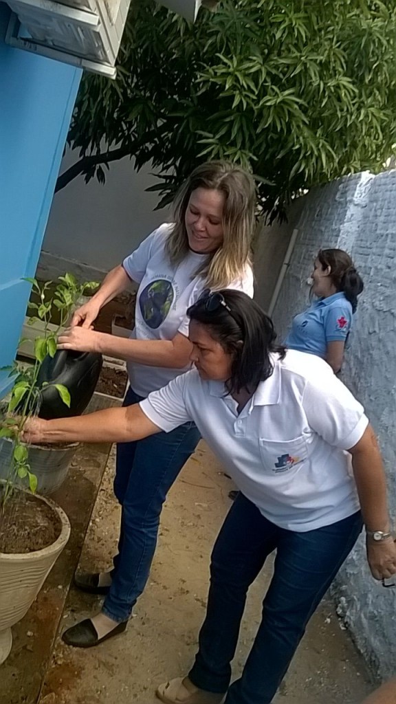 plantio-de-hortas-na-usf-potengi-1