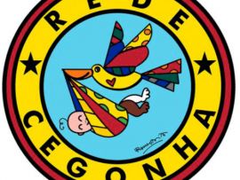 Pré-adesão à Rede Cegonha mobiliza gestores Pré-adesão à Rede Cegonha mobiliza gestores