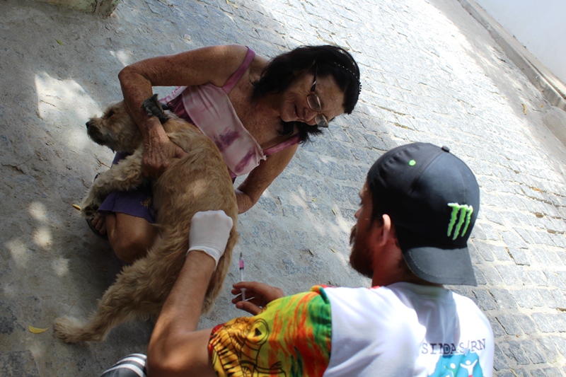 Vacinação antirrábica continua sendo realizada em Jucurutu
