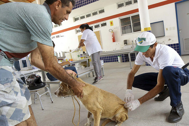 Mossoró: Secretaria de Saúde lança campanha de vacinação antirrábica