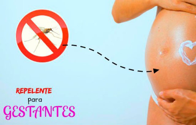 Prefeitura de Santa Cruz fará na próxima quarta-feira (05) entrega de repelentes para gestantes do Bolsa Família