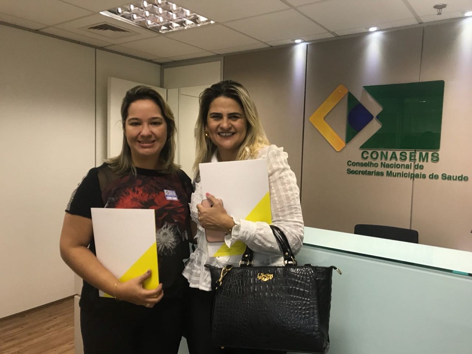 Cosems-RN participa de discussão sobre unificação dos blocos de financiamento do SUS e articula evento para capacitar gestores potiguares