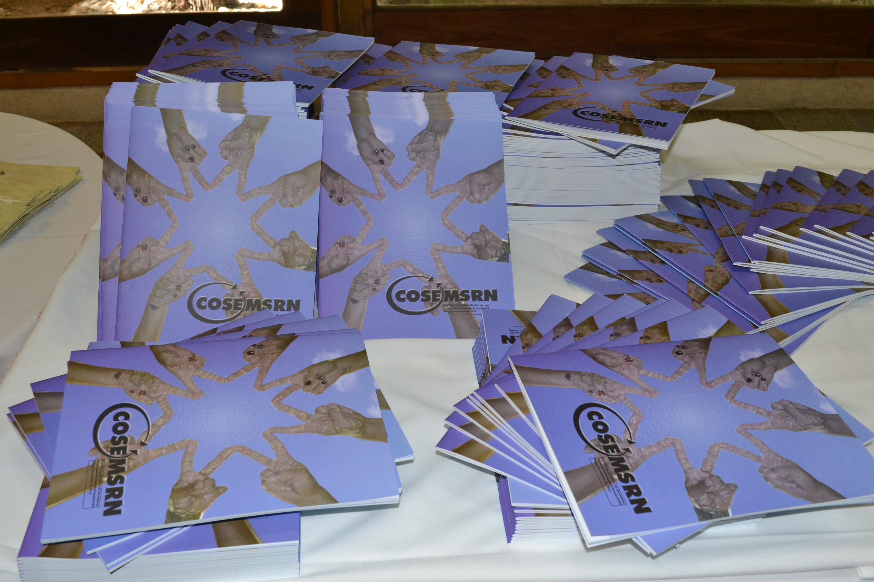 II SEMINÁRIO DE ARTICULAÇÃO INTERFEDERATIVA DO COSEMS-RN: 27 e 28/11/2013