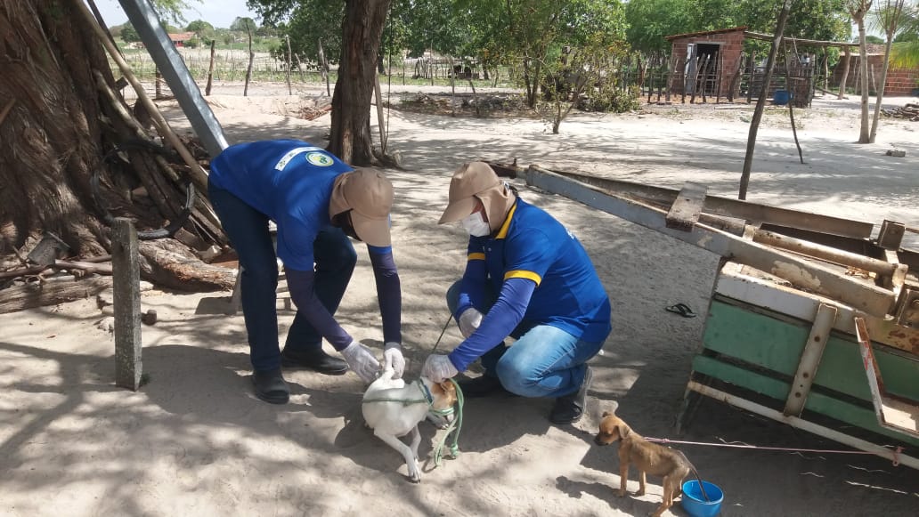 “VIVÊNCIAS DO SUS NOS RECANTOS POTIGUARES”: Vacinação antirrábica em Boa Saúde atinge mais de 3 mil animais