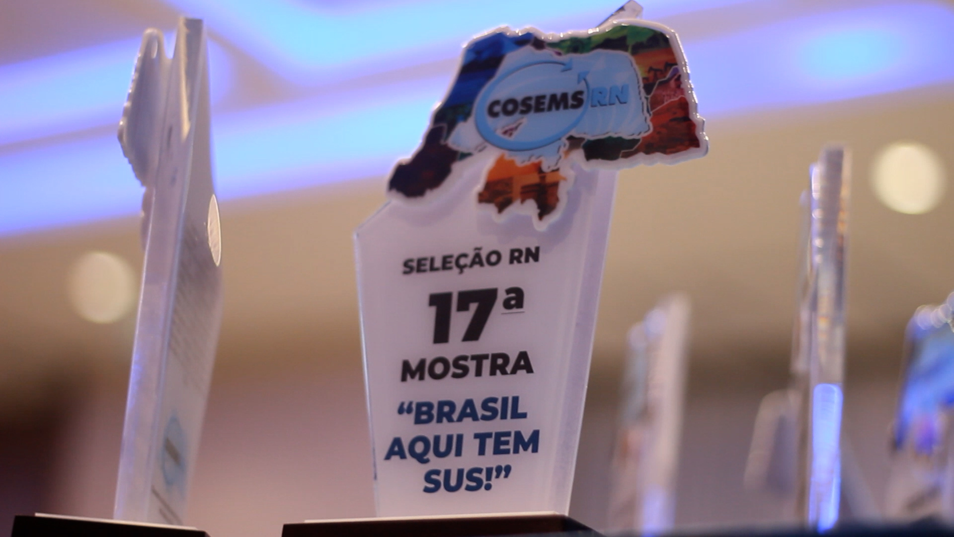 251ª REUNIÃO ORDINÁRIA E PREMIAÇÃO DA ETAPA ESTADUAL DA 17ª MOSTRA “BRASIL, AQUI TEM SUS”