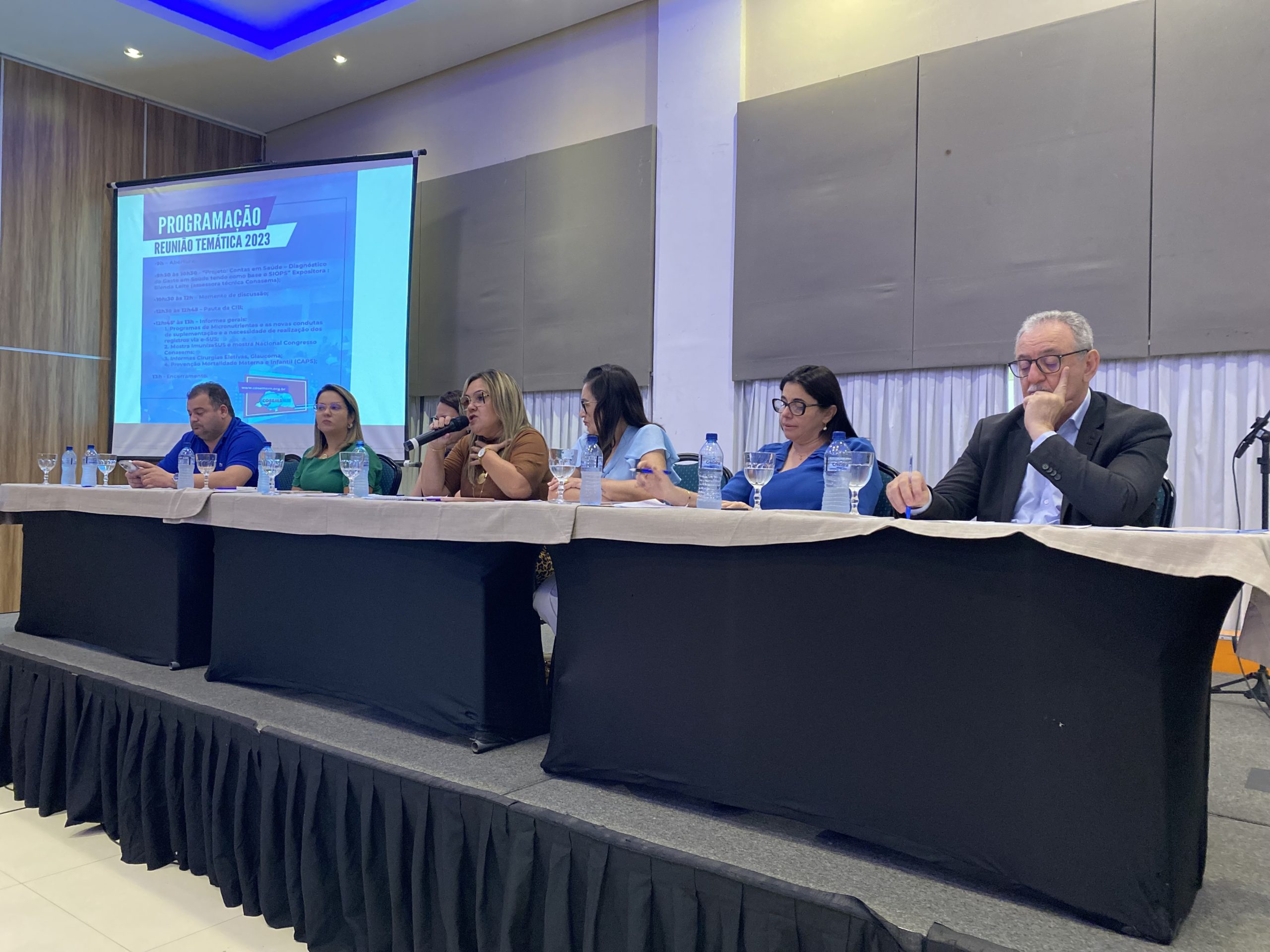 Primeira Reunião Temática de 2023