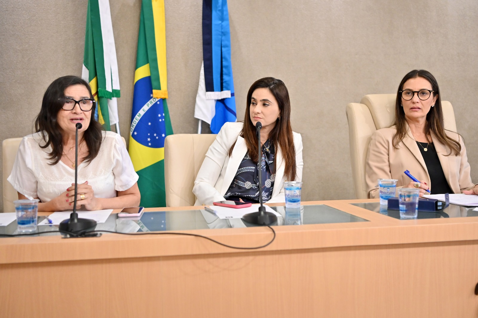 Conscientização e tratamento precoce do câncer cerebral foram debatidos em audiência com presença do Cosems-RN