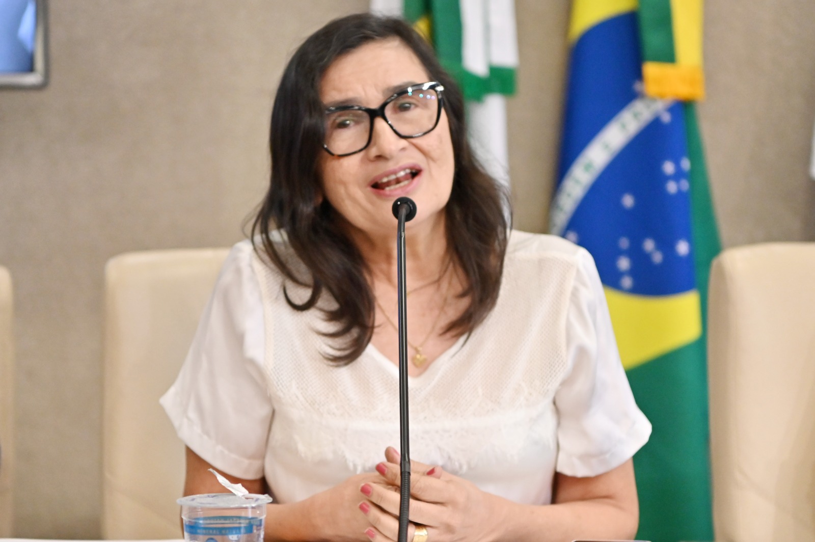Conscientização e tratamento precoce do câncer cerebral foram debatidos em audiência com presença do Cosems-RN