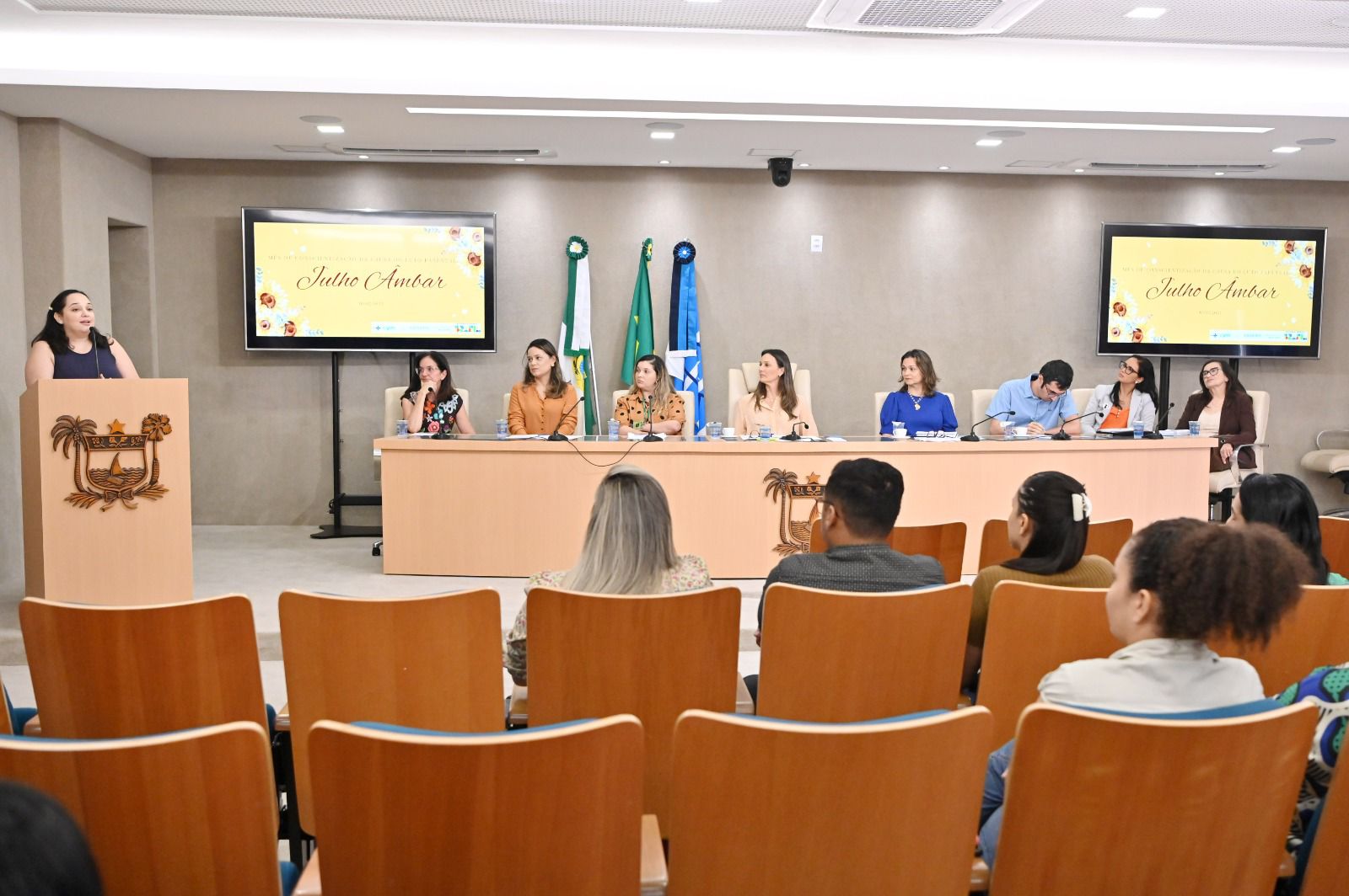 Cosems-RN debate humanização do luto parental durante audiência pública
