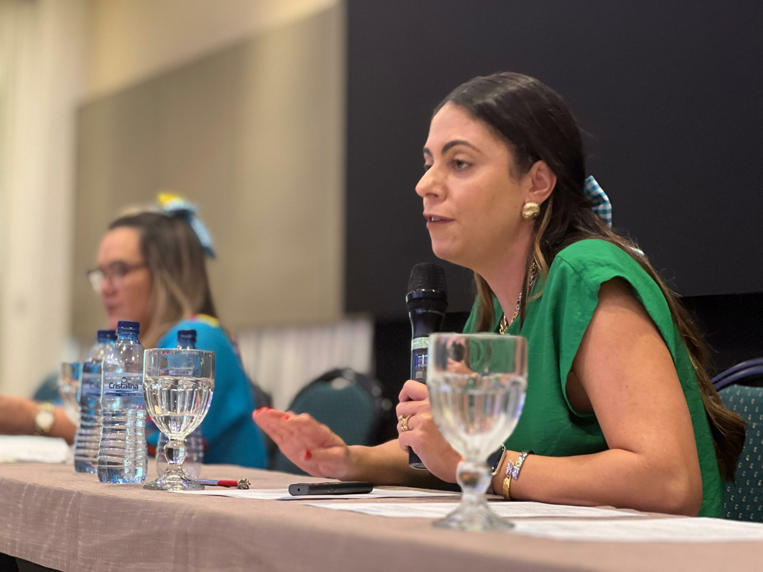 2ª REUNIÃO TEMÁTICA DE 2024