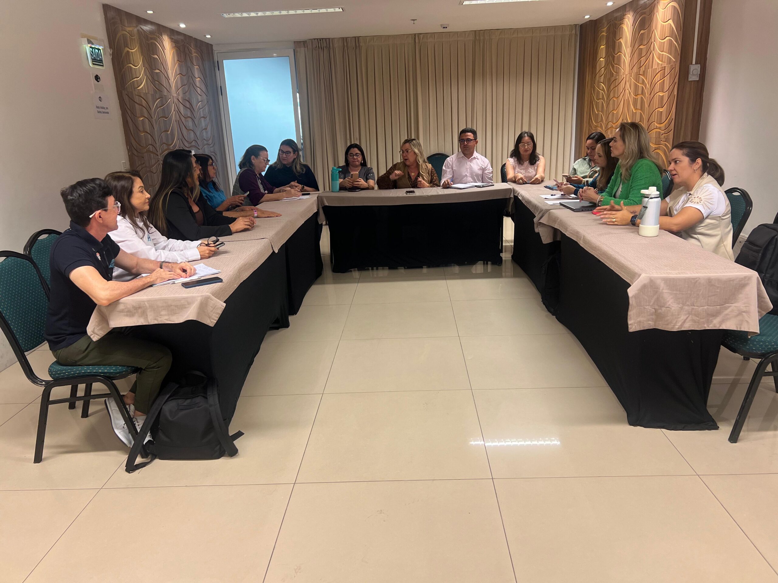 2ª REUNIÃO TEMÁTICA DE 2025 – 22/07/2025