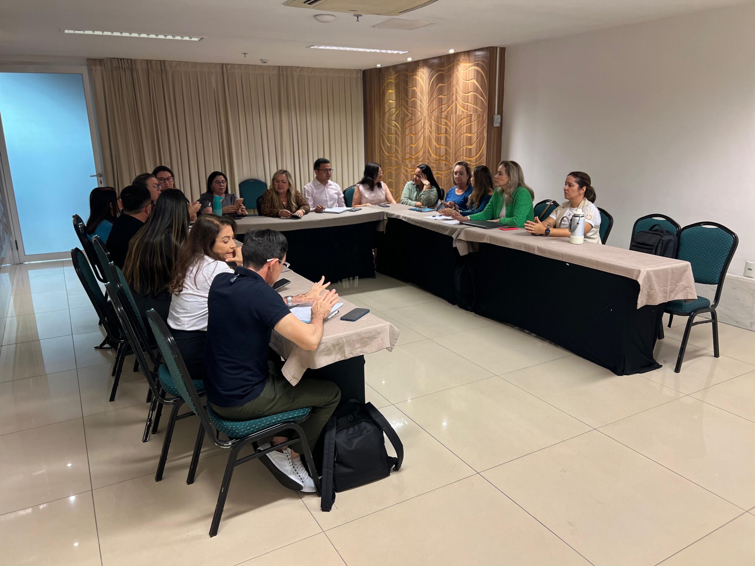 2ª REUNIÃO TEMÁTICA DE 2025 – 22/07/2025