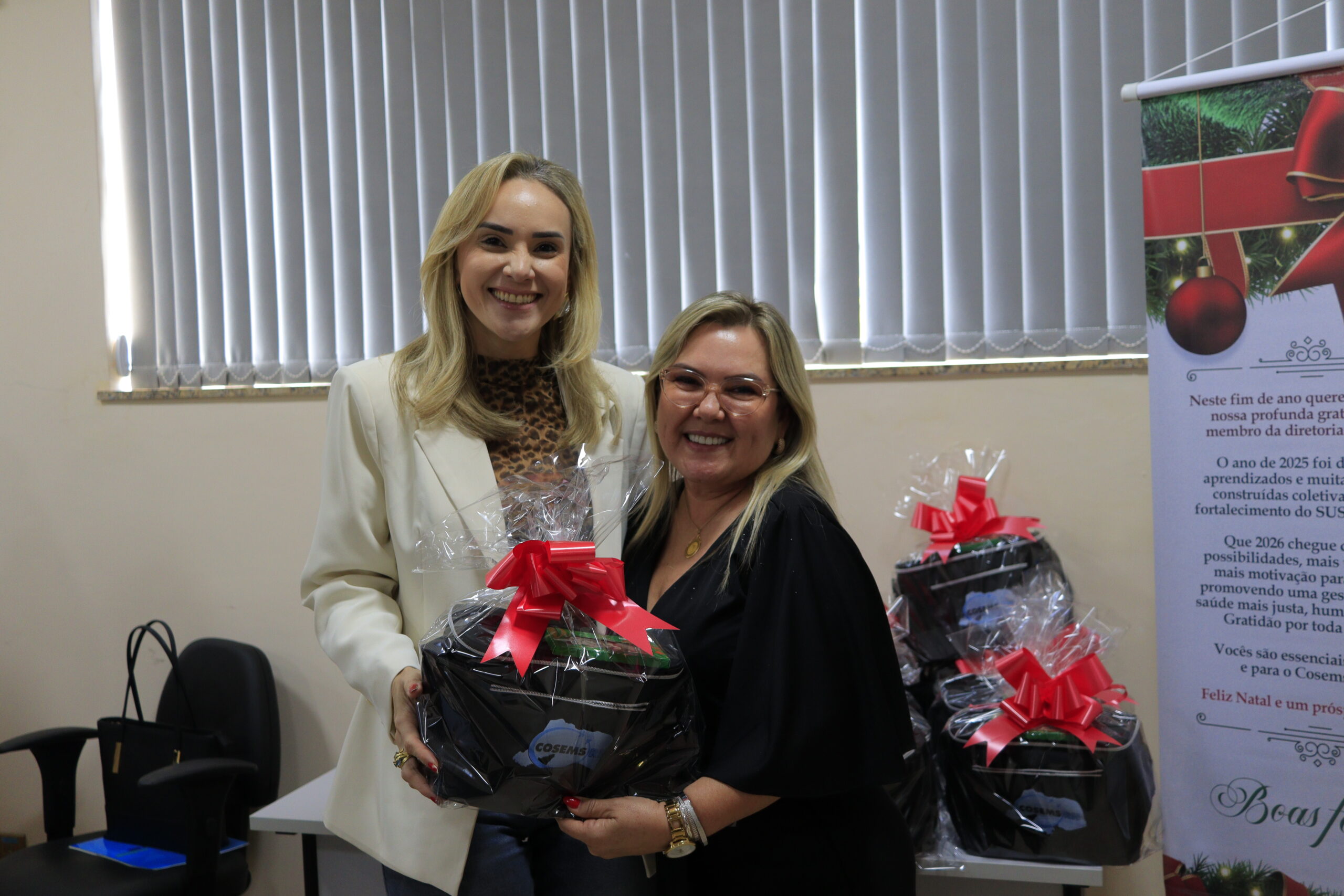 3ª Reunião da Diretoria do Cosems de 2025