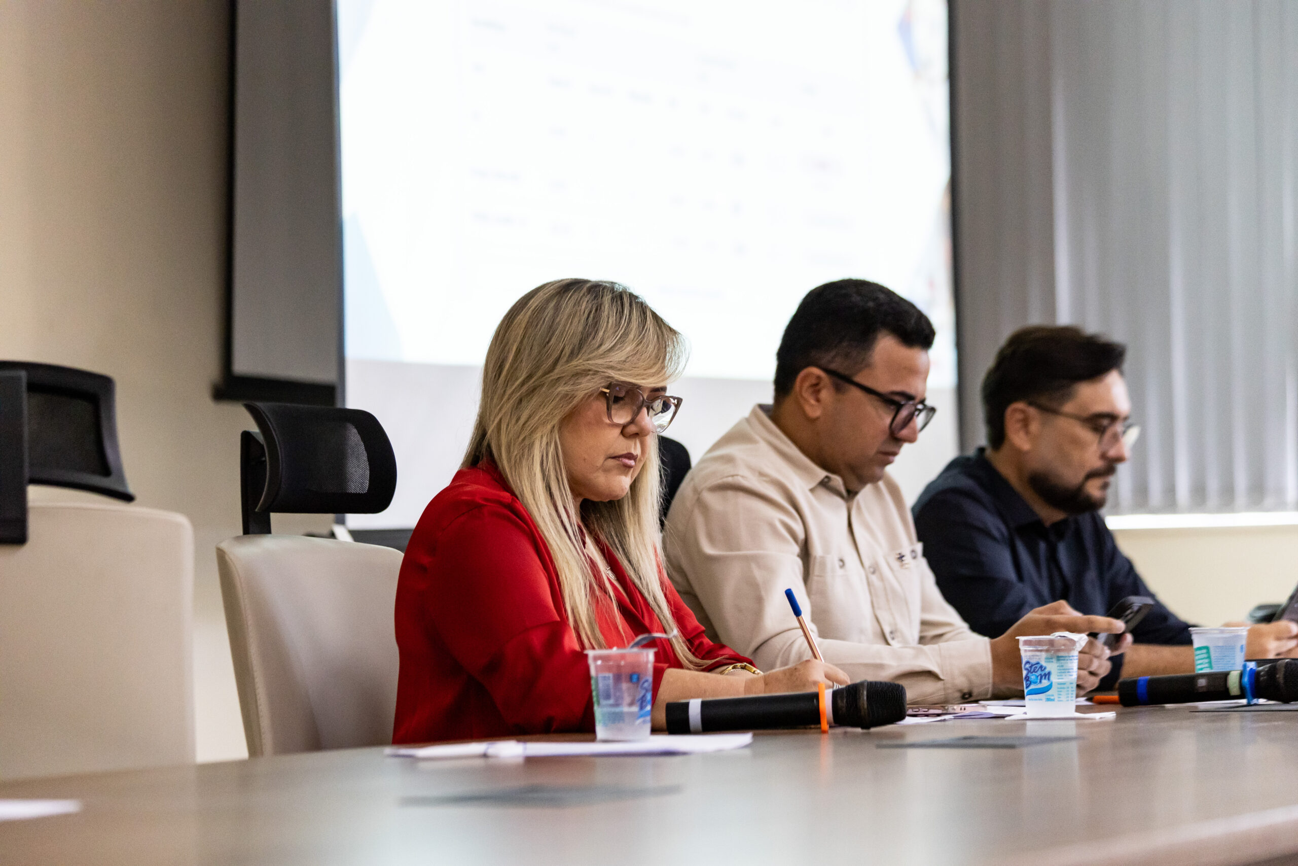 271ª REUNIÃO ORDINÁRIA: 18/03/2026