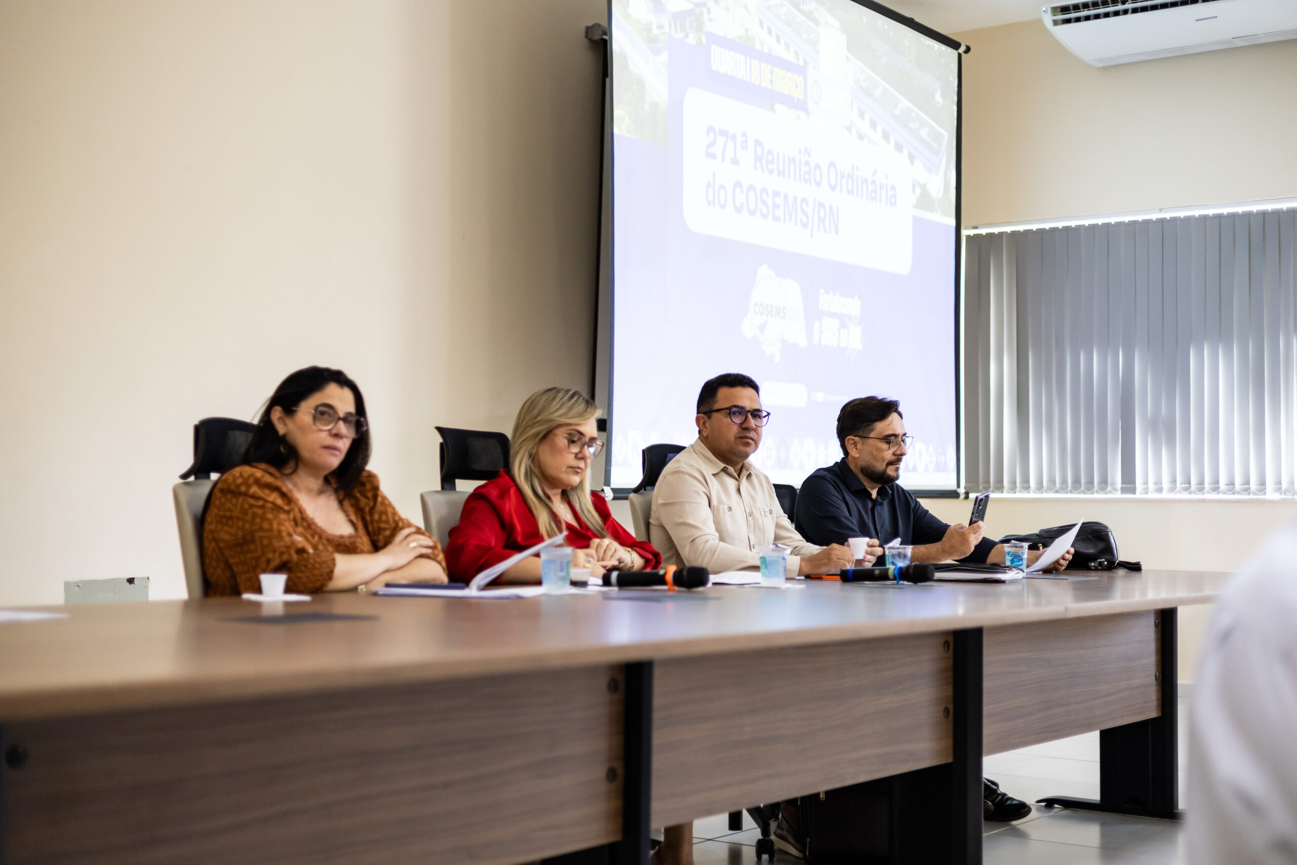 271ª REUNIÃO ORDINÁRIA: 18/03/2026