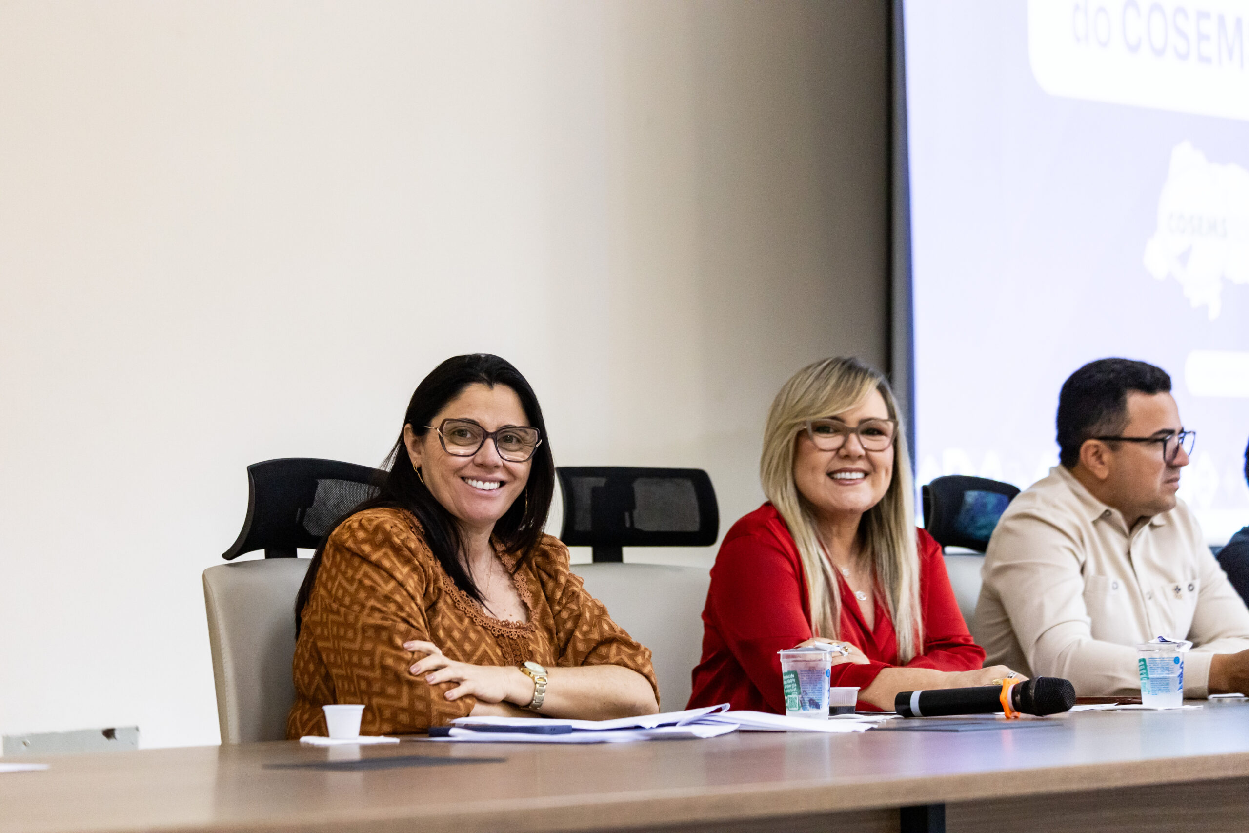 271ª REUNIÃO ORDINÁRIA: 18/03/2026