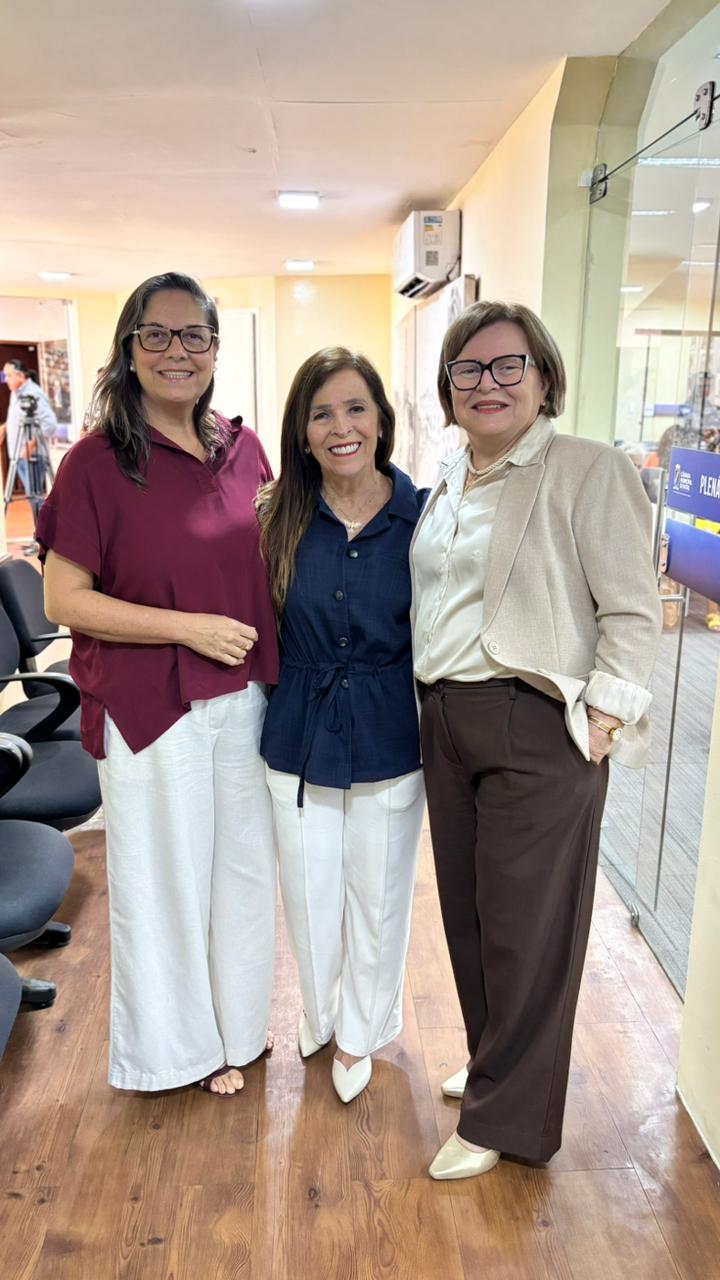 AUDIÊNCIA PÚBLICA SOBRE PICS NA CÂMARA MUNICIPAL DE NATAL: 22/05/2026